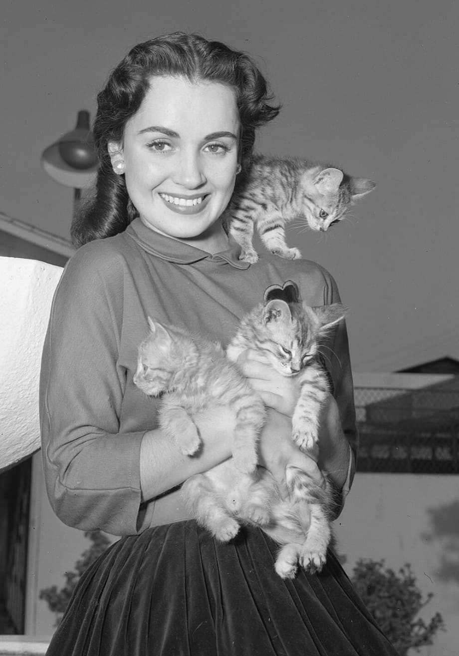 “Susan Cabot, who starred in a lot of westerns and b movies (notably The Wasp Woman by Roger Corman) and had an affair with King Hussein of Jordan, which was initiated by the CIA. She got paranoid later in life and essentially became a shut in/hoarder. Her son, who had dwarfism, claimed a man in a ninja mask broken into their house and killed her. At the trial he admitted that he had beaten her to death with a weightlifting bar He said she had awakened him screaming at him, didn't recognize him, and called him by her mother's name. His lawyers claimed drugs he took to counteract his dwarfism and pituitary issues had caused a prion contamination resulting in a mental break. He got three years for involuntary manslaughter. He may have been King Hussein's love child. He died about 17 years later. I've tried looking up info about his life after the trial, but haven't found much.”